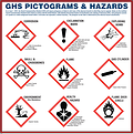 Large Pictogram Poster